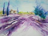 Provence 80x60