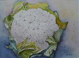 Blumenkohl 40x30