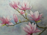Magnolienzweig 48x36