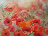 Mohnwiese 40x30