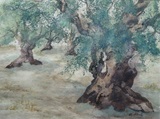 Olivenhain 40x30