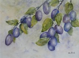 Reiche Ernte 40x30