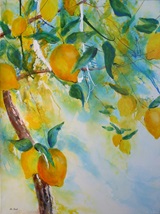 Vitamine 60x80