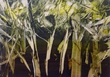 Wald 40x28